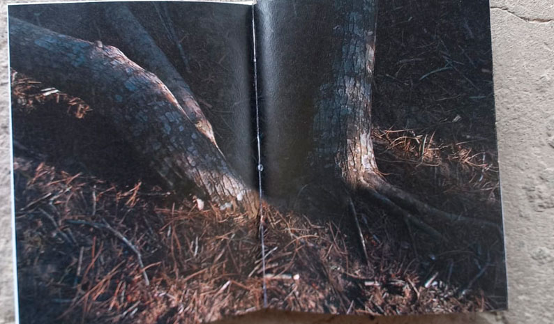 detalle libro
