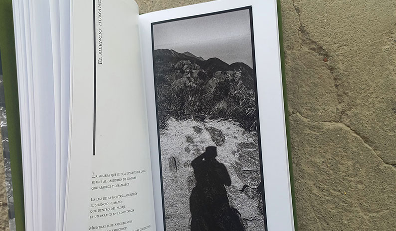 detalle libro