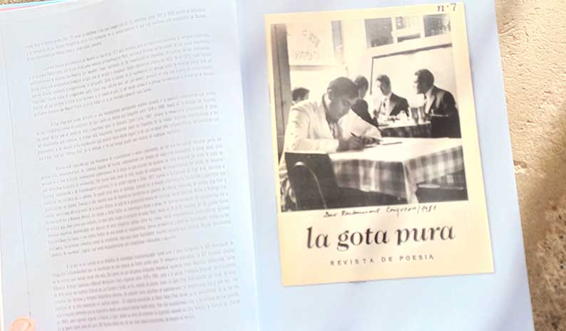 detalle libro