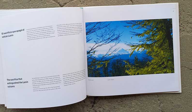 detalle libro