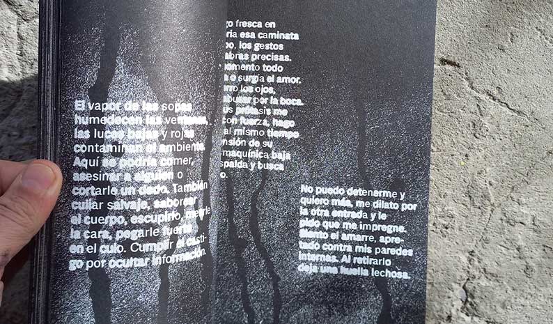 detalle libro