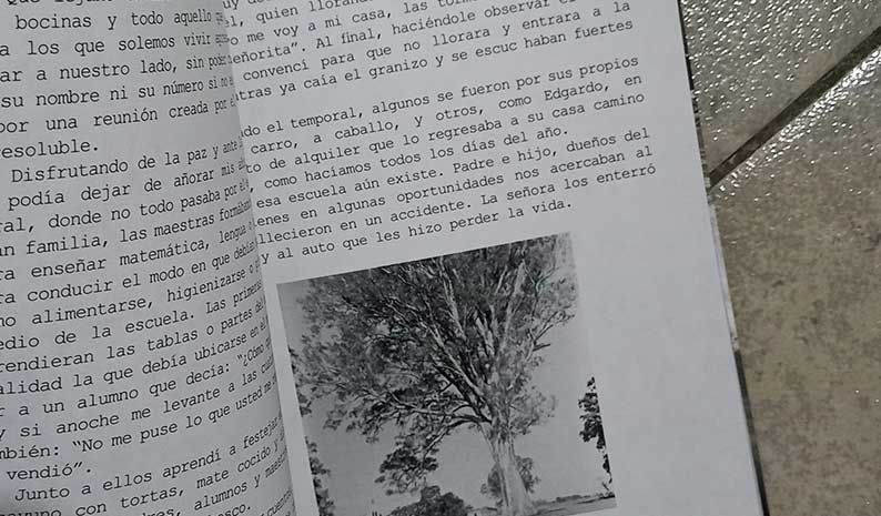 detalle libro