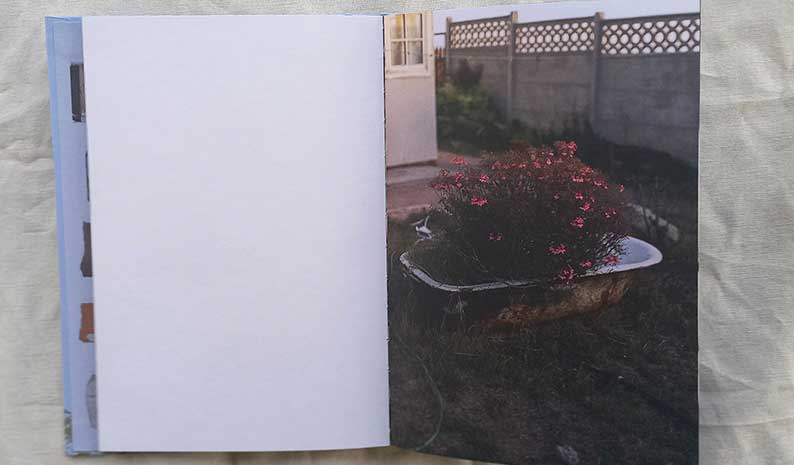 detalle libro