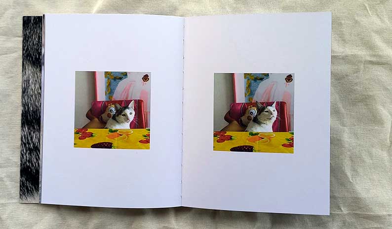 detalle libro