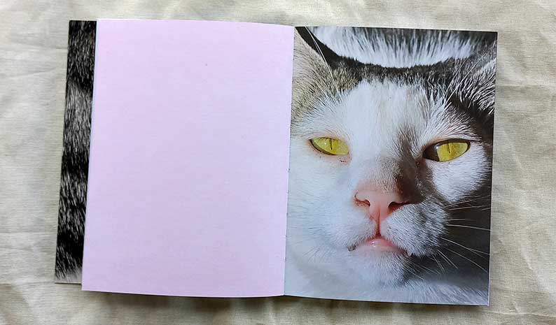 detalle libro